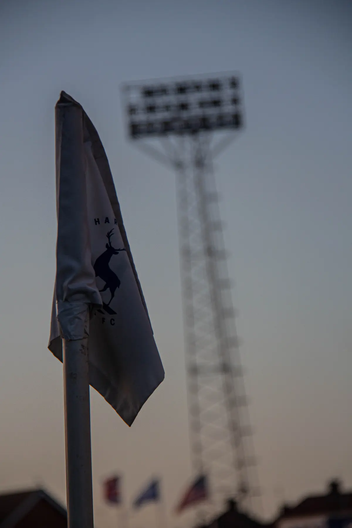 Hartlepool United photograph 12