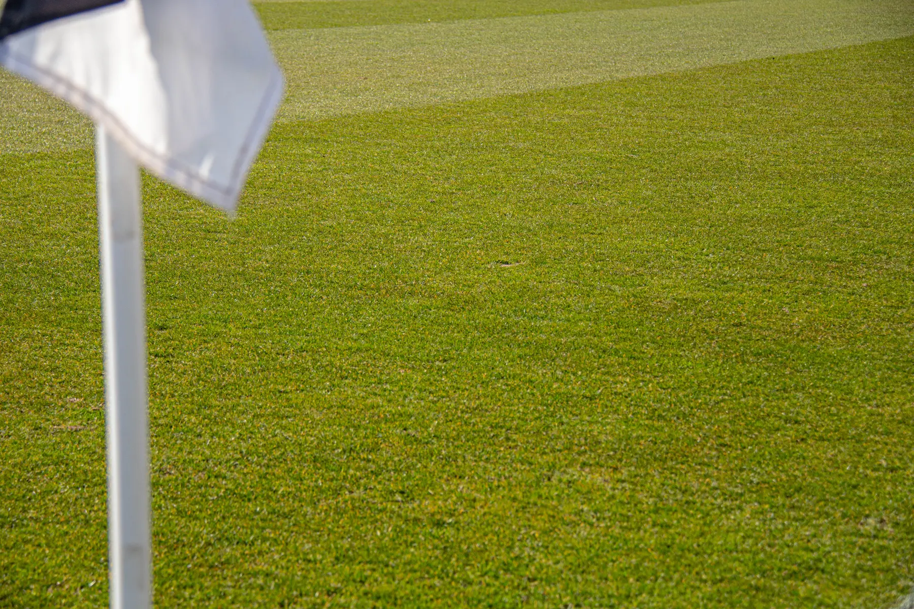 Maidenhead United photograph 15