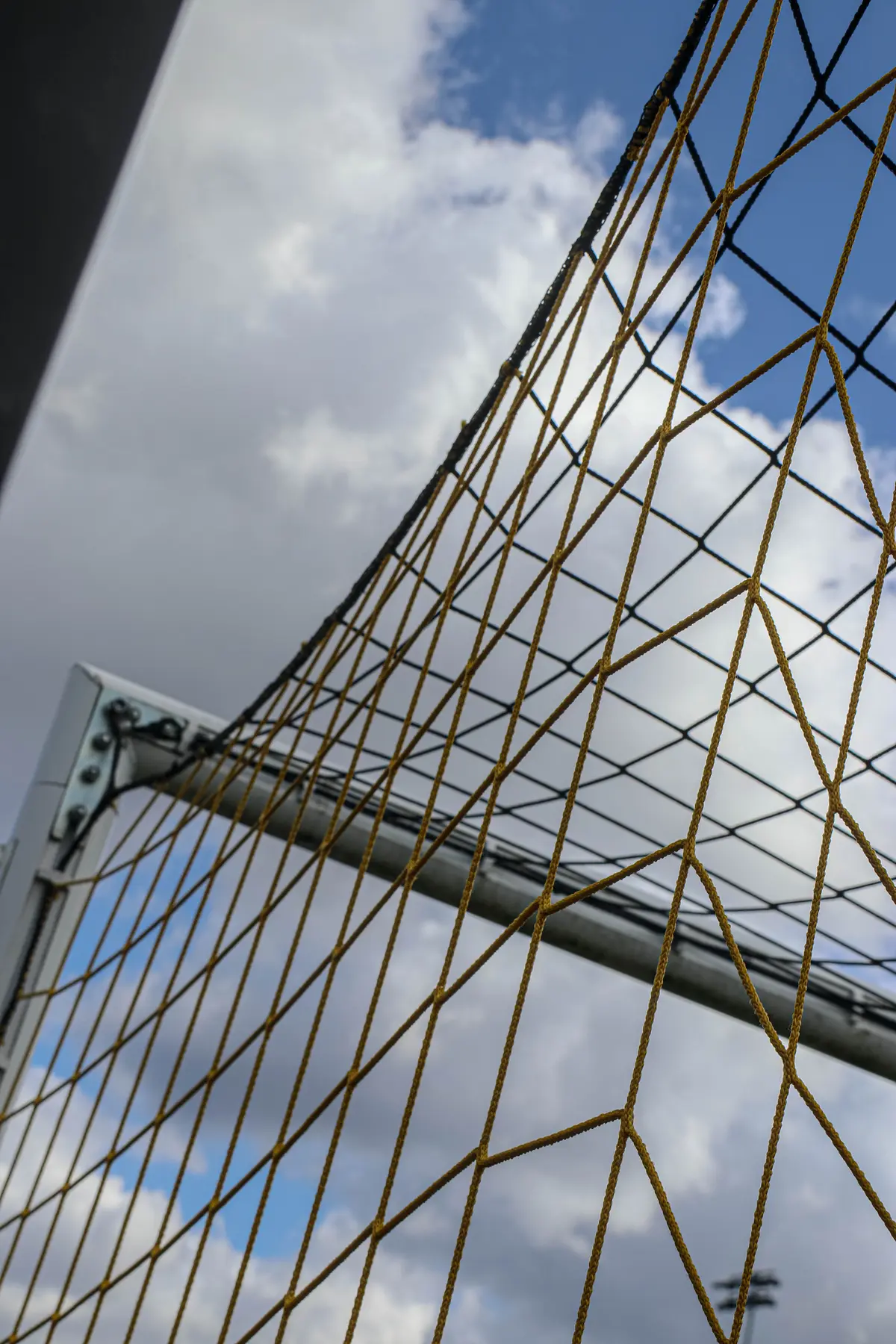 Sutton United photograph 6