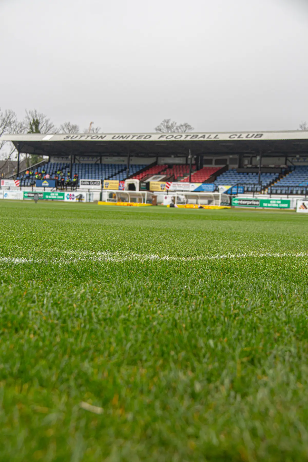 Sutton United photograph 12