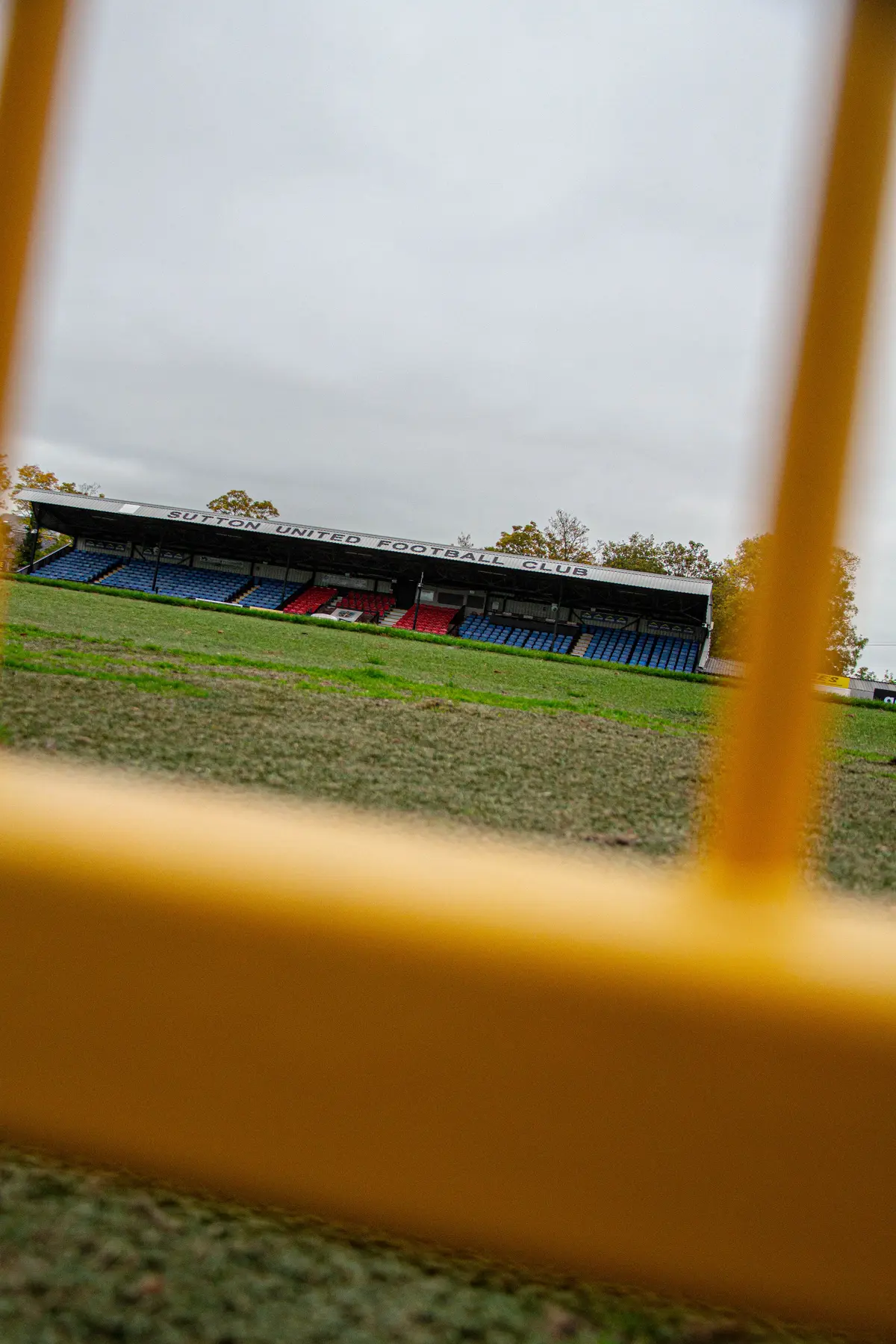 Sutton United photograph 15
