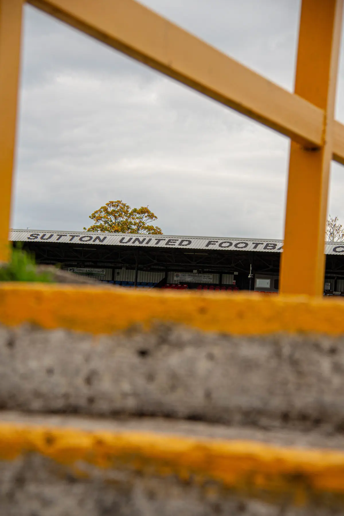 Sutton United photograph 19