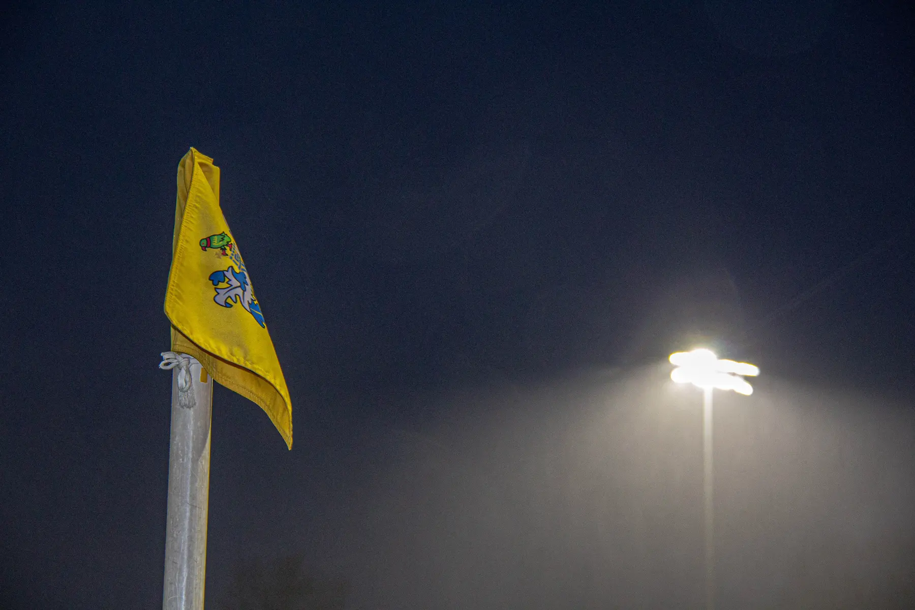 Sutton United photograph 27