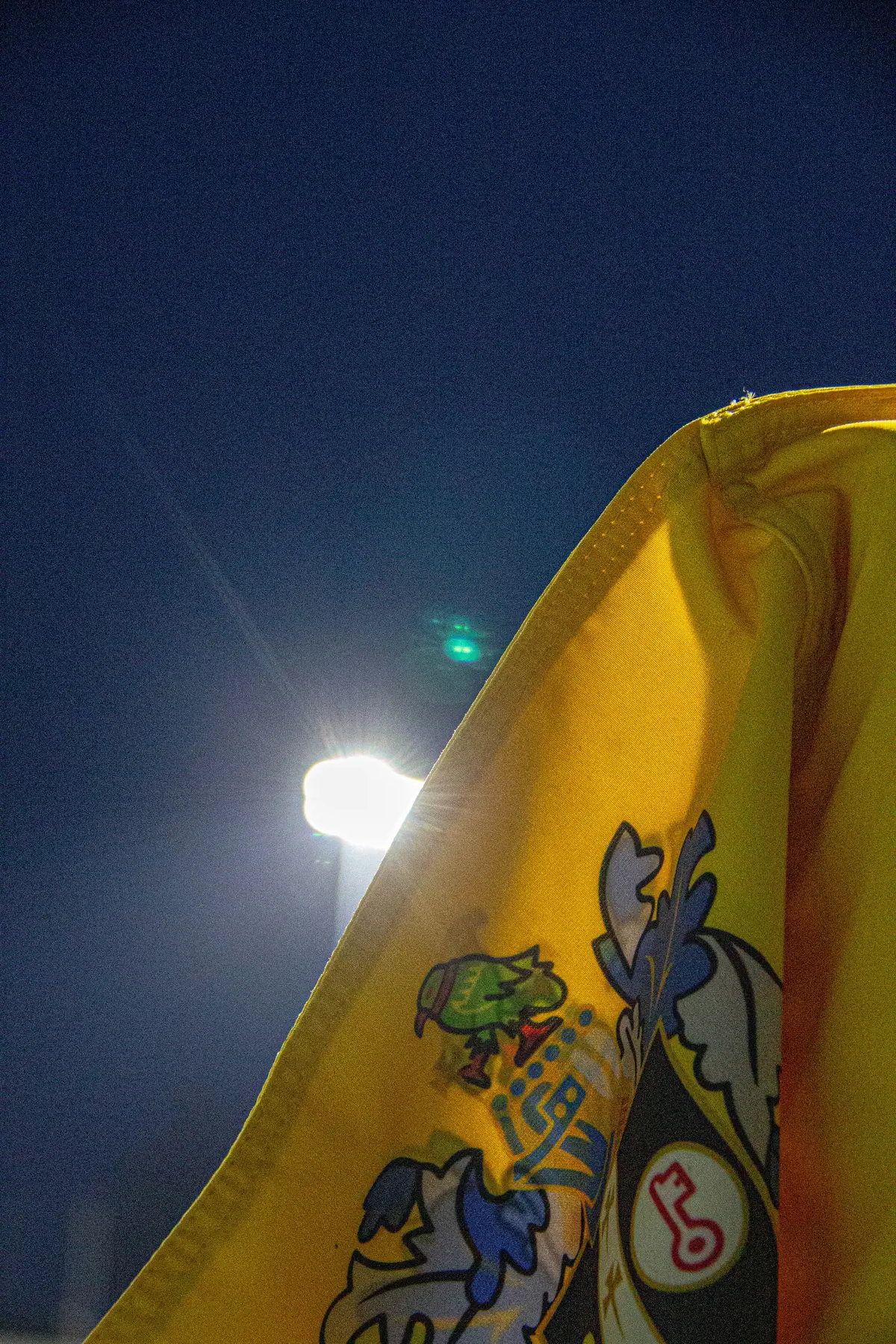 Sutton United photograph 35