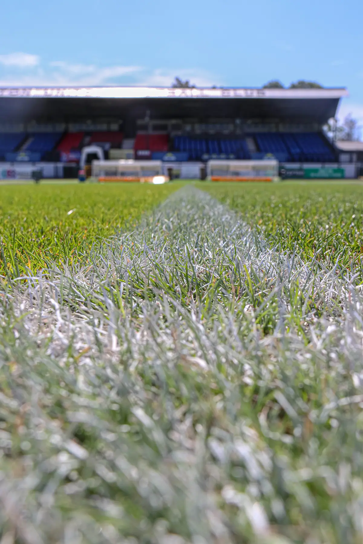Sutton United photograph 65